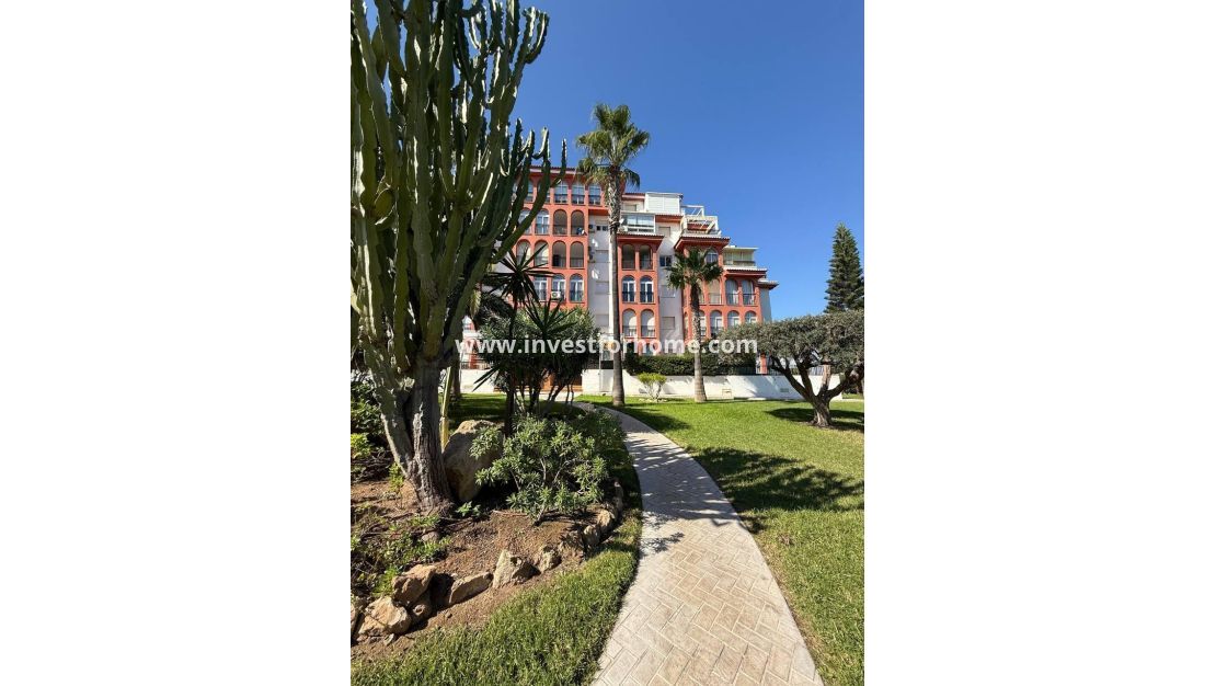 Vente - Appartement - Torrevieja - Nueva Torrevieja - Aguas Nuevas