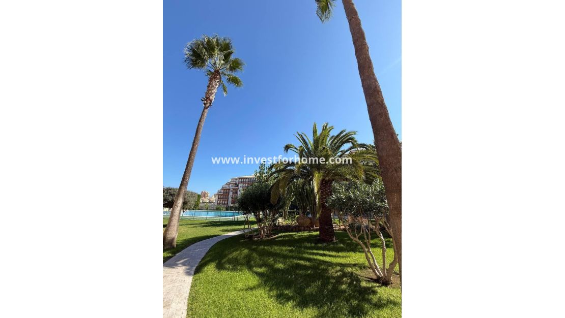 Vente - Appartement - Torrevieja - Nueva Torrevieja - Aguas Nuevas