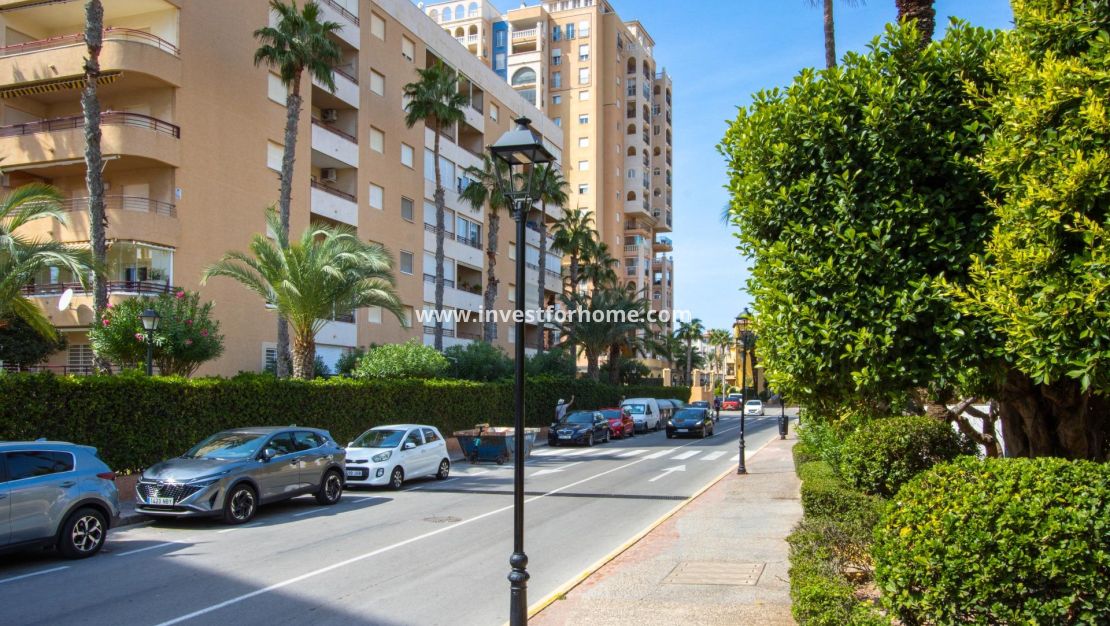 Vente - Appartement - Torrevieja - Nueva Torrevieja - Aguas Nuevas