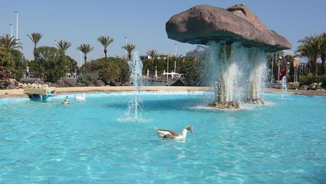 Vente - Appartement - Torrevieja - Parque Las Naciones