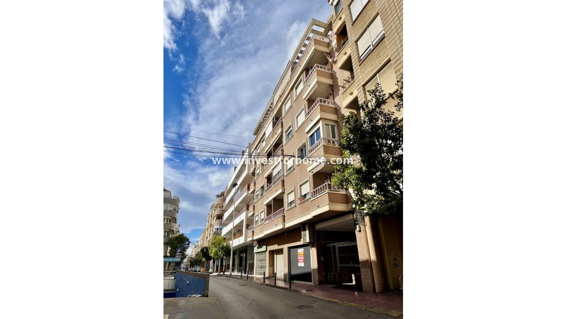 Vente - Appartement - Torrevieja - Playa de cura