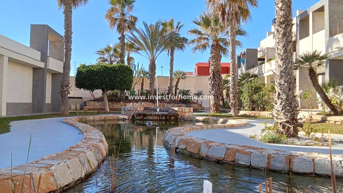 Vente - Appartement - Torrevieja - Playa De La Mata