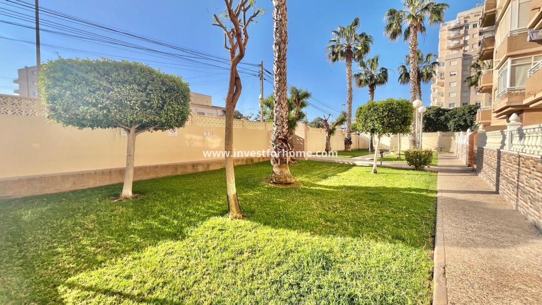 Vente - Appartement - Torrevieja - Playa de los Locos