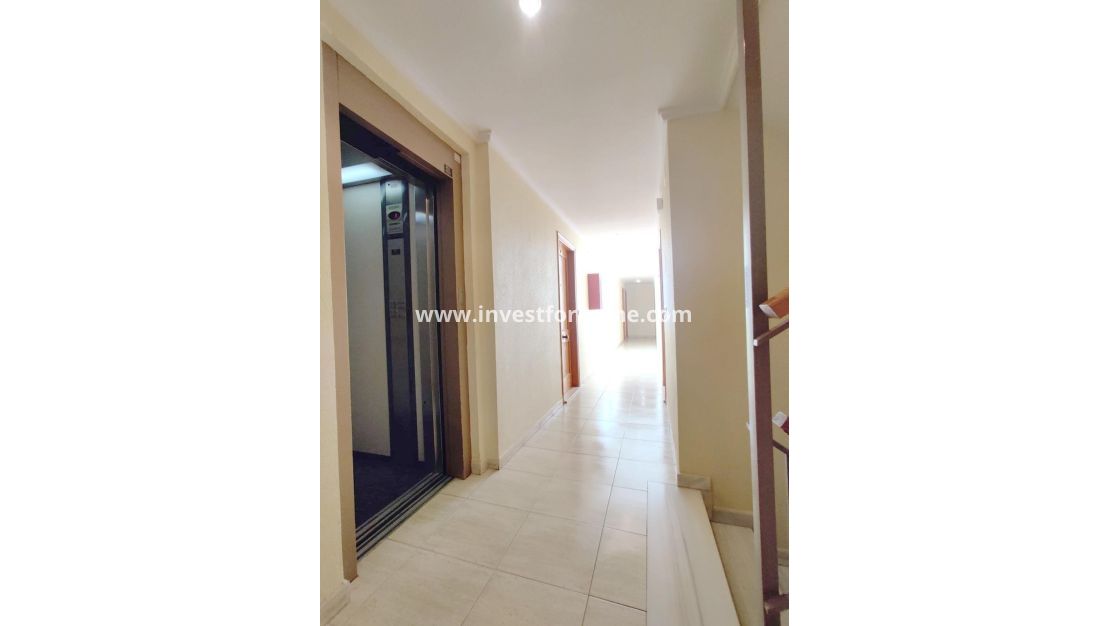 Vente - Appartement - Torrevieja - Playa de los Locos