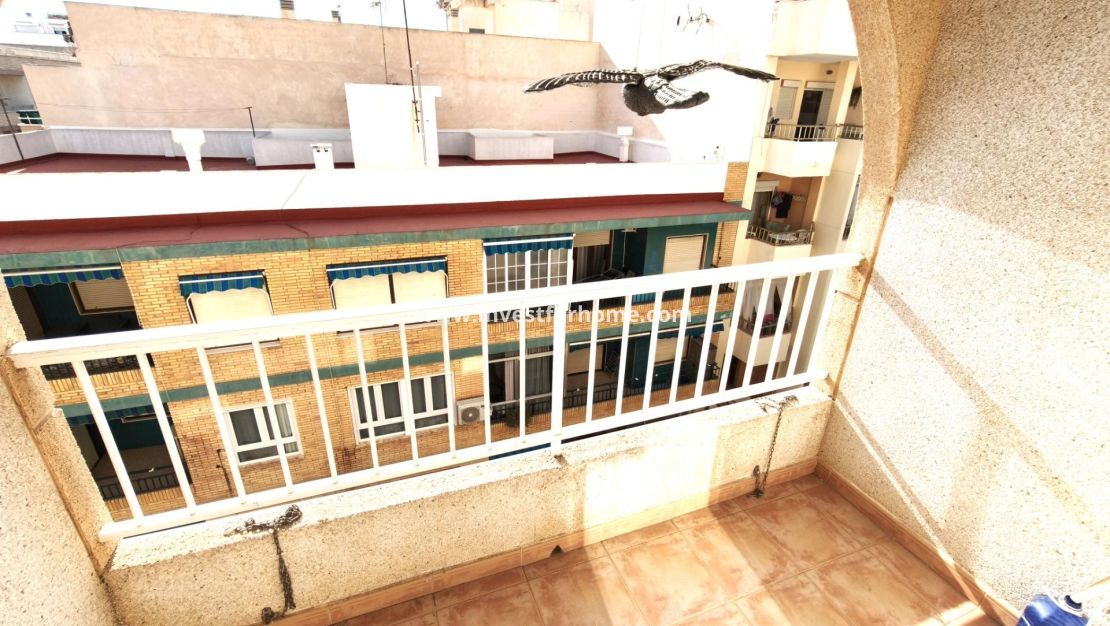 Vente - Appartement - Torrevieja - Playa del Cura