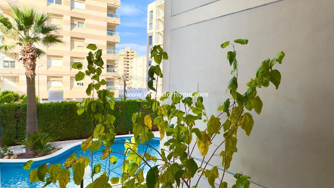 Vente - Appartement - Torrevieja - Playa del Cura