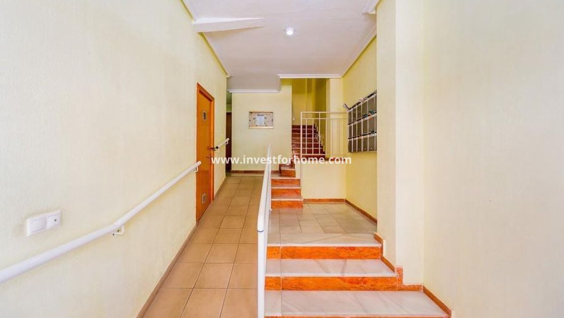 Vente - Appartement - Torrevieja - Playa del Cura