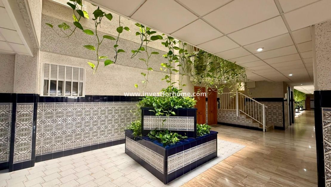 Vente - Appartement - Torrevieja - Playa del Cura