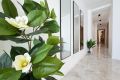Vente - Appartement - Torrevieja - Playa del Cura