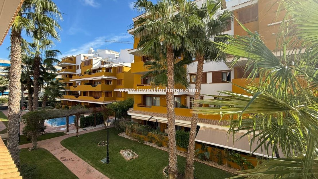 Vente - Appartement - Torrevieja - Punta prima
