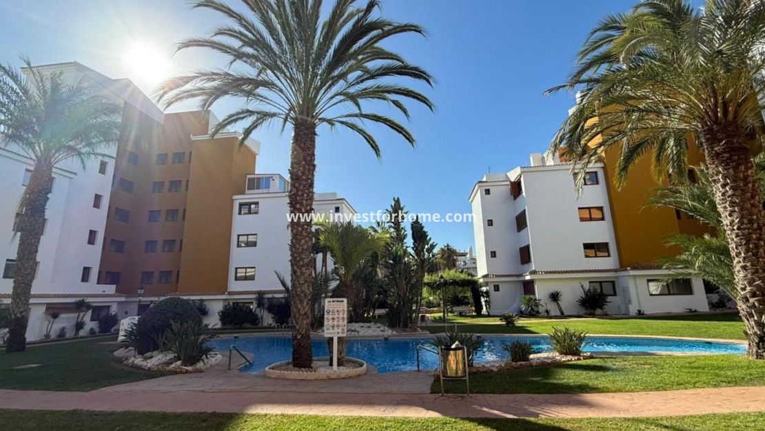 Vente - Appartement - Torrevieja - Punta prima