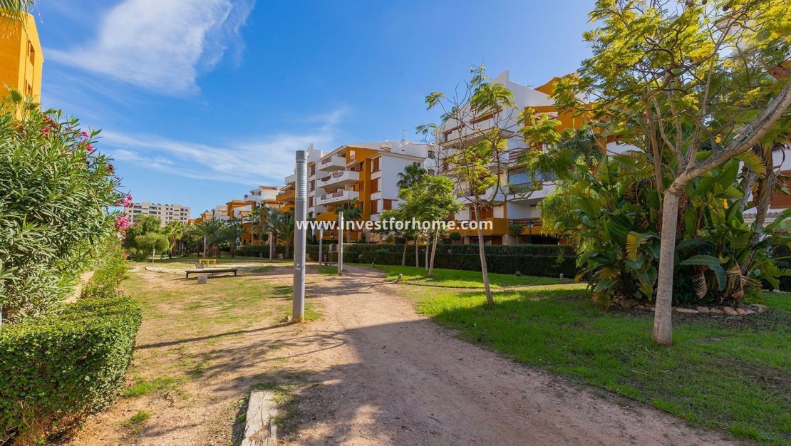 Vente - Appartement - Torrevieja - Punta prima