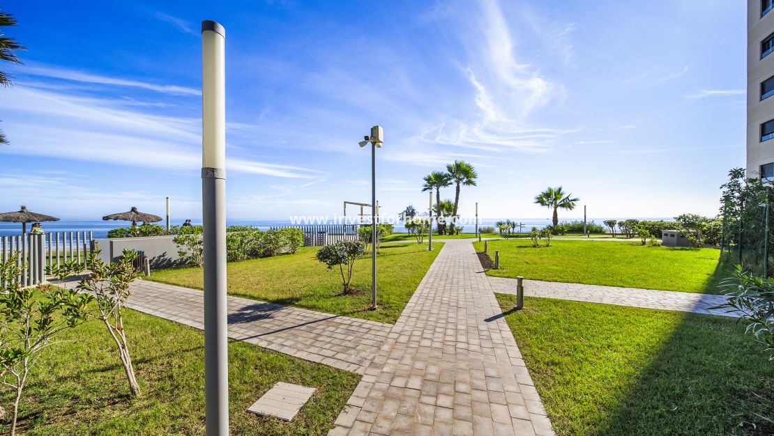 Vente - Appartement - Torrevieja - Punta prima