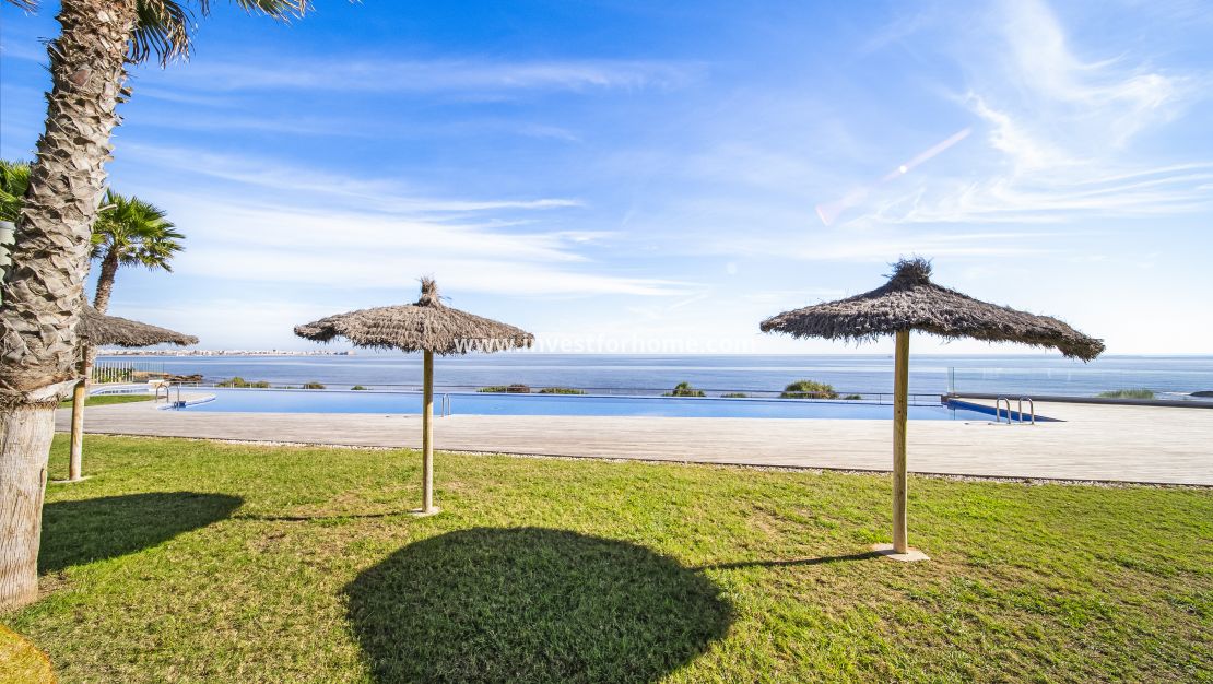 Vente - Appartement - Torrevieja - Punta prima