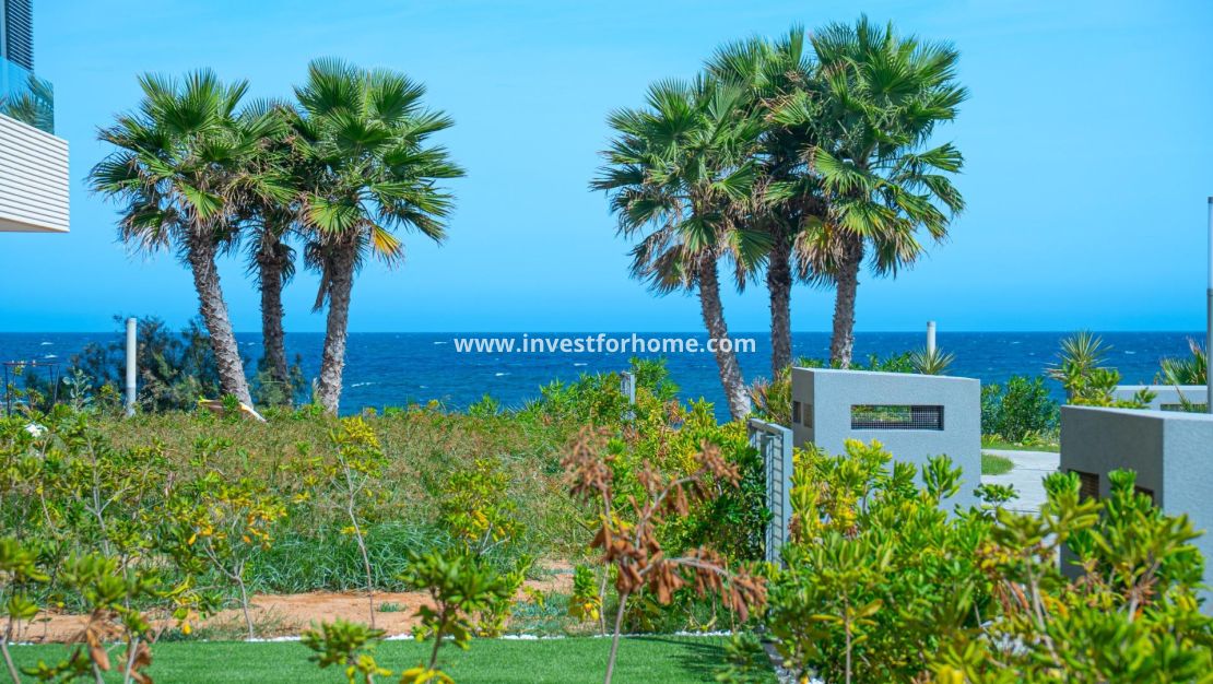 Vente - Appartement - Torrevieja - Punta prima