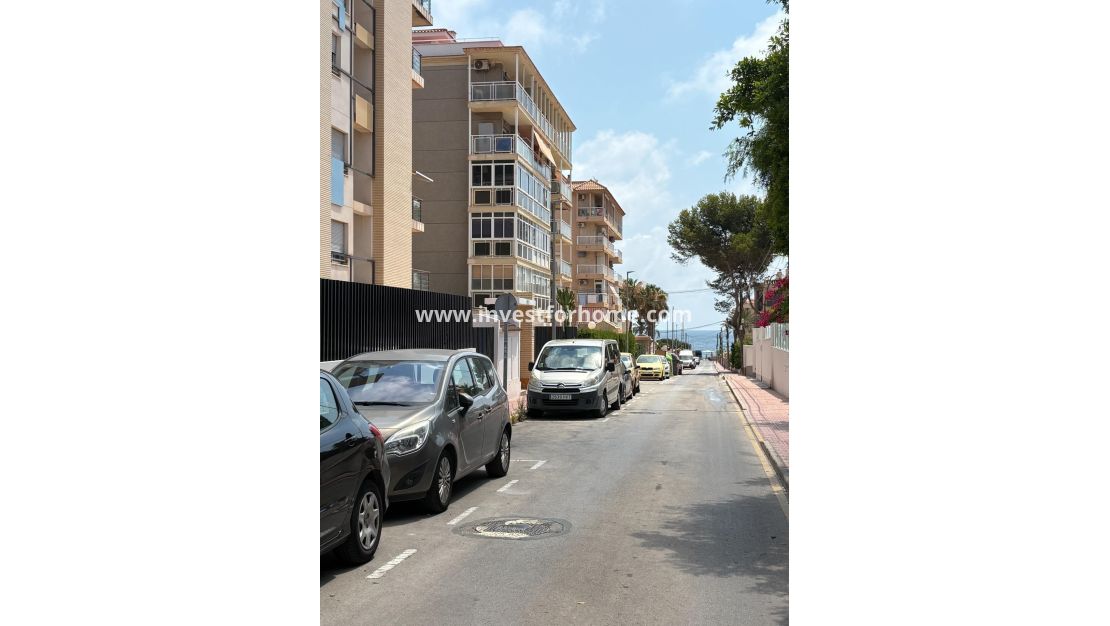 Vente - Appartement - Torrevieja - Punta prima
