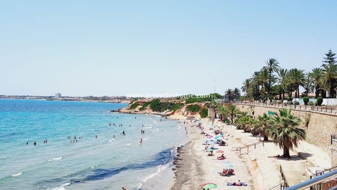 Vente - Appartement - Torrevieja - Punta prima