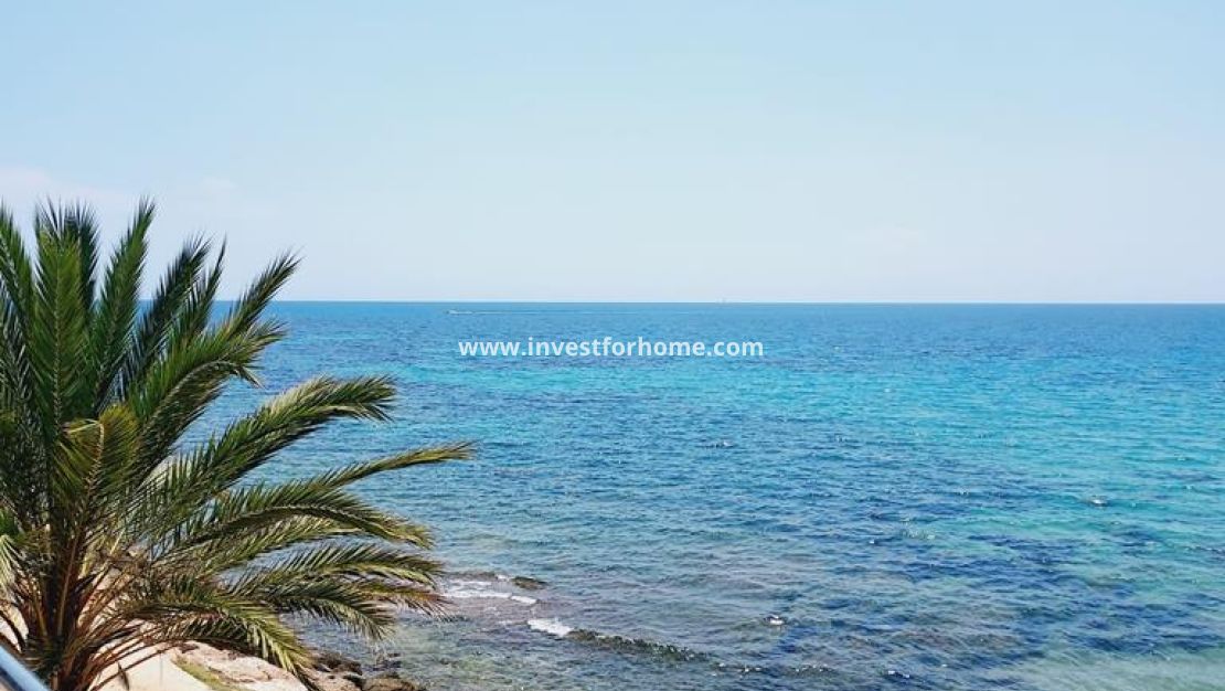 Vente - Appartement - Torrevieja - Punta prima
