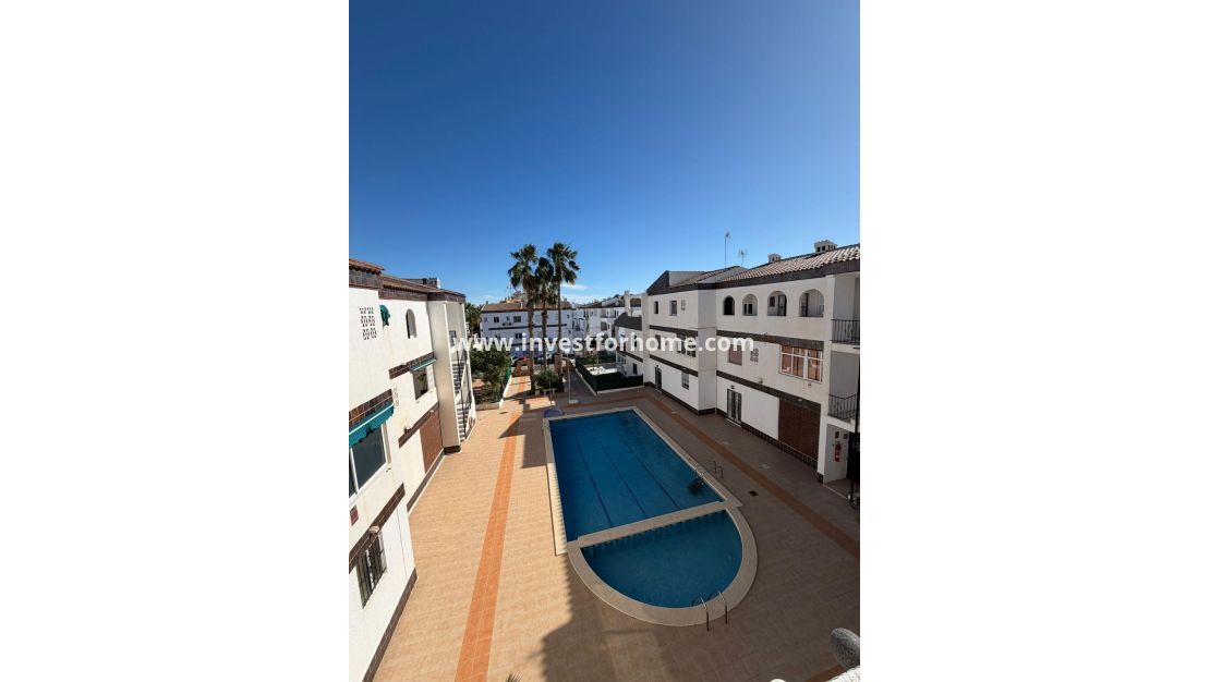 Vente - Appartement - Torrevieja - Punta prima