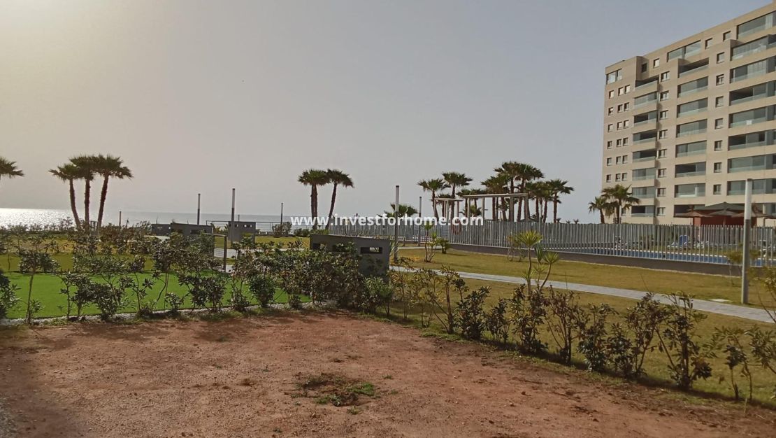 Vente - Appartement - Torrevieja - Punta prima