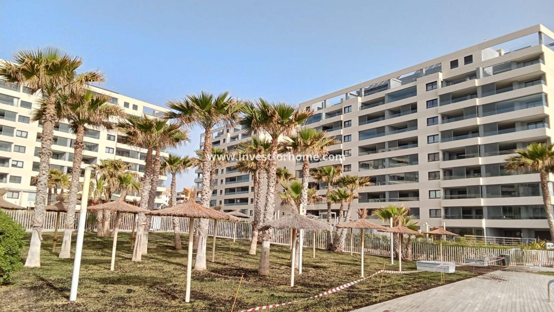 Vente - Appartement - Torrevieja - Punta prima