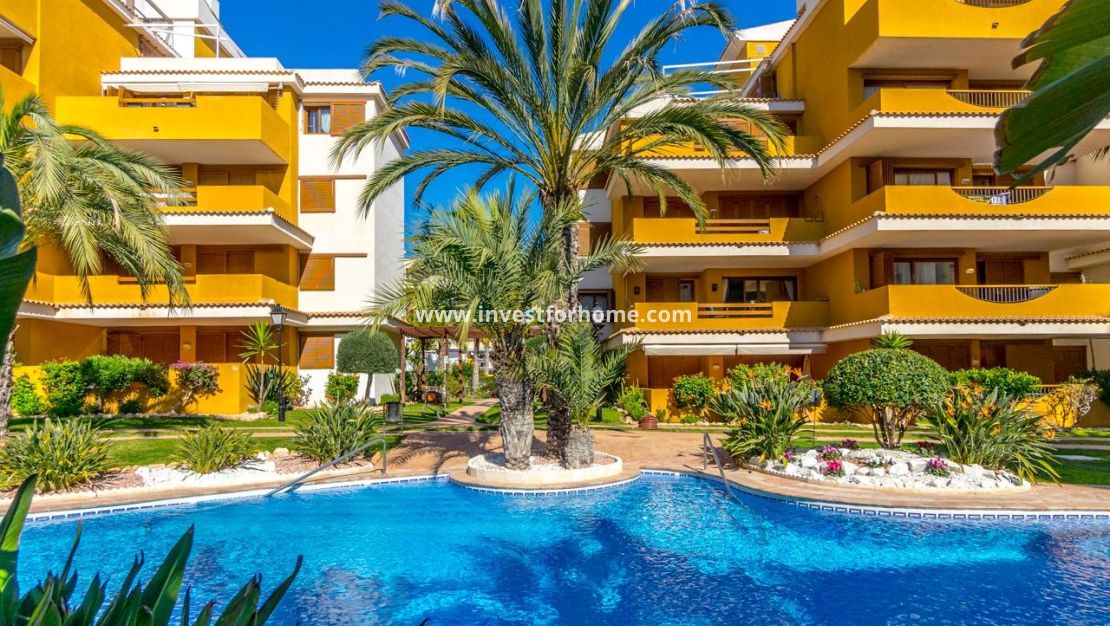 Vente - Appartement - Torrevieja - Punta prima