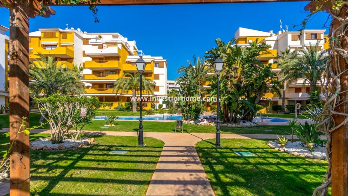 Vente - Appartement - Torrevieja - Punta prima
