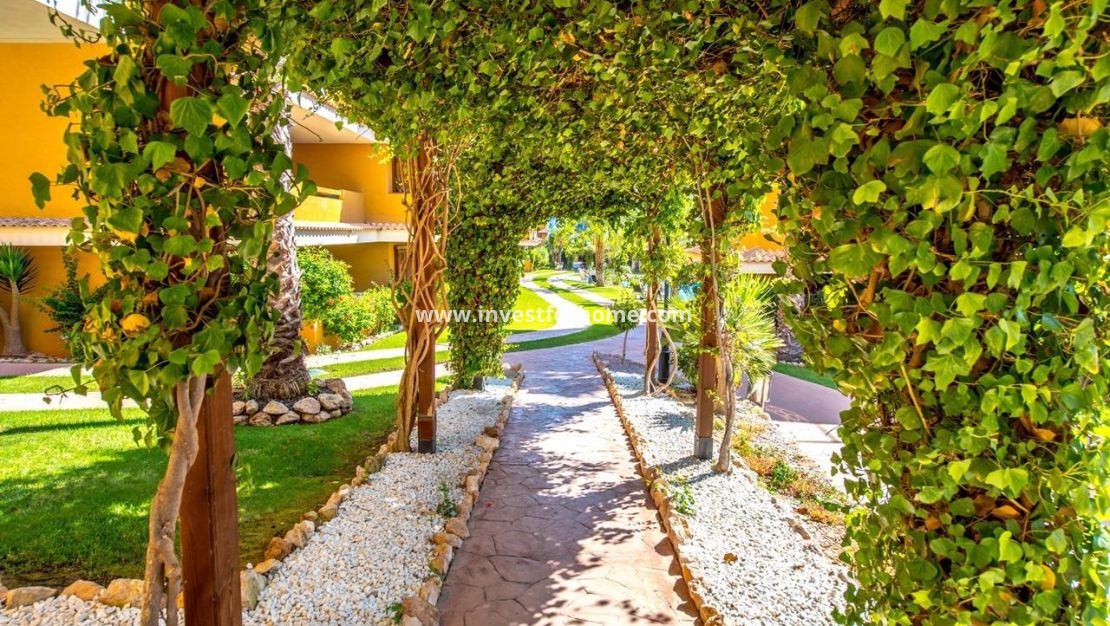 Vente - Appartement - Torrevieja - Punta prima