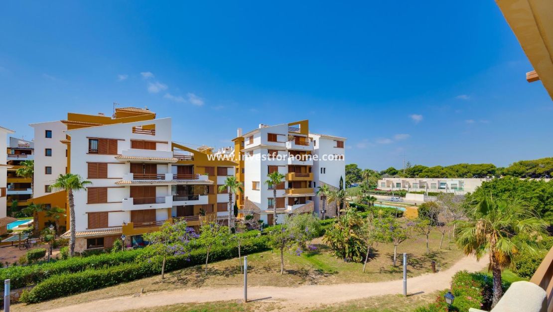 Vente - Appartement - Torrevieja - Punta prima