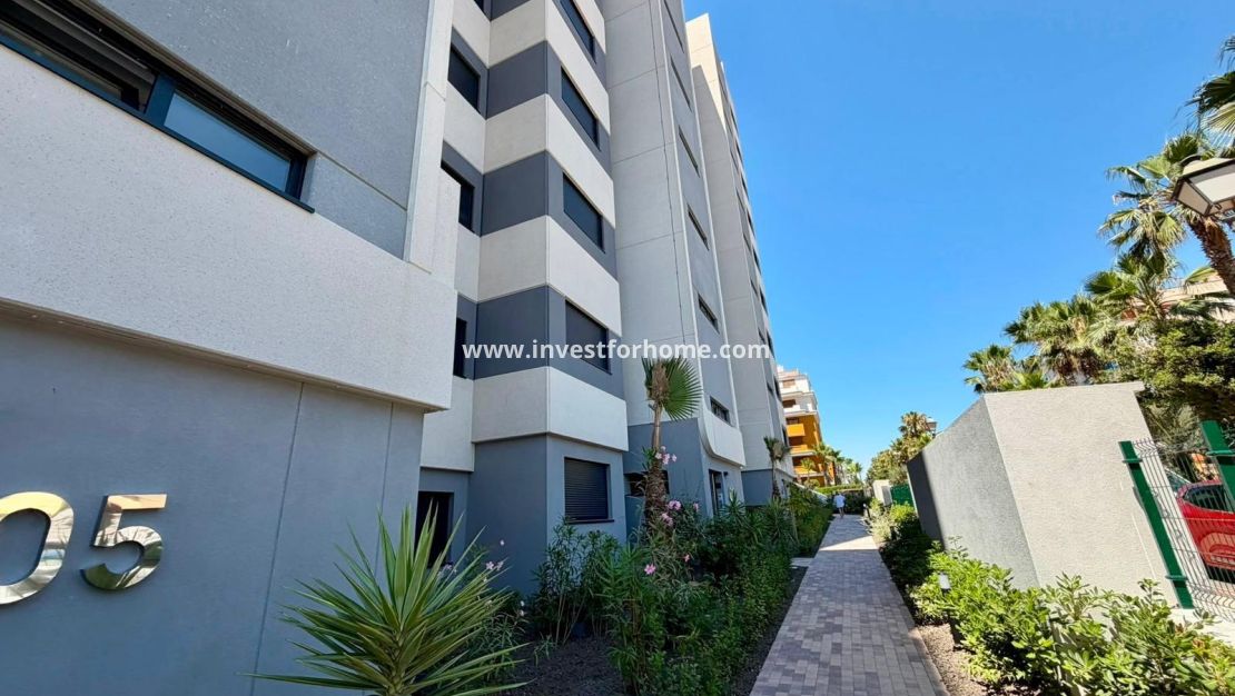Vente - Appartement - Torrevieja - Punta prima