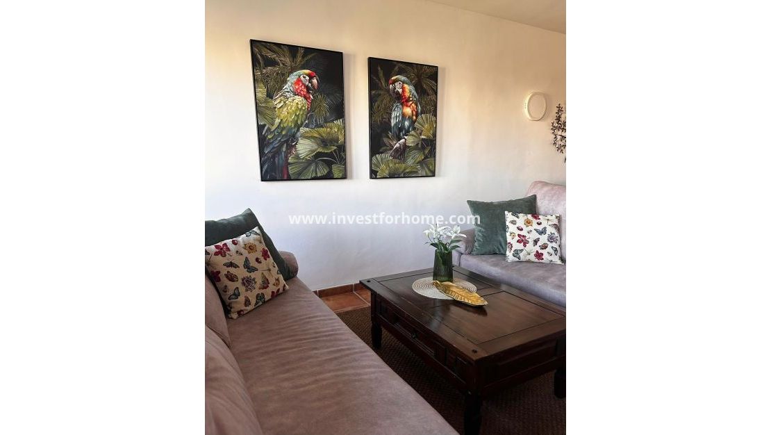 Vente - Appartement - Torrevieja - Punta prima