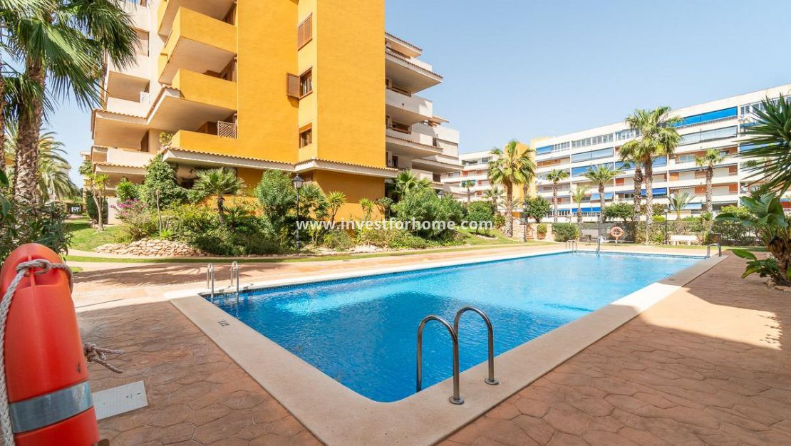 Vente - Appartement - Torrevieja - Punta prima