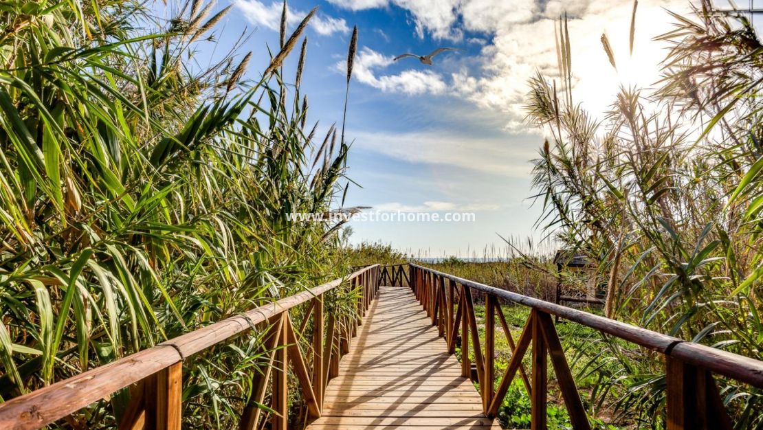 Vente - Appartement - Torrevieja - Torrelamata - La Mata