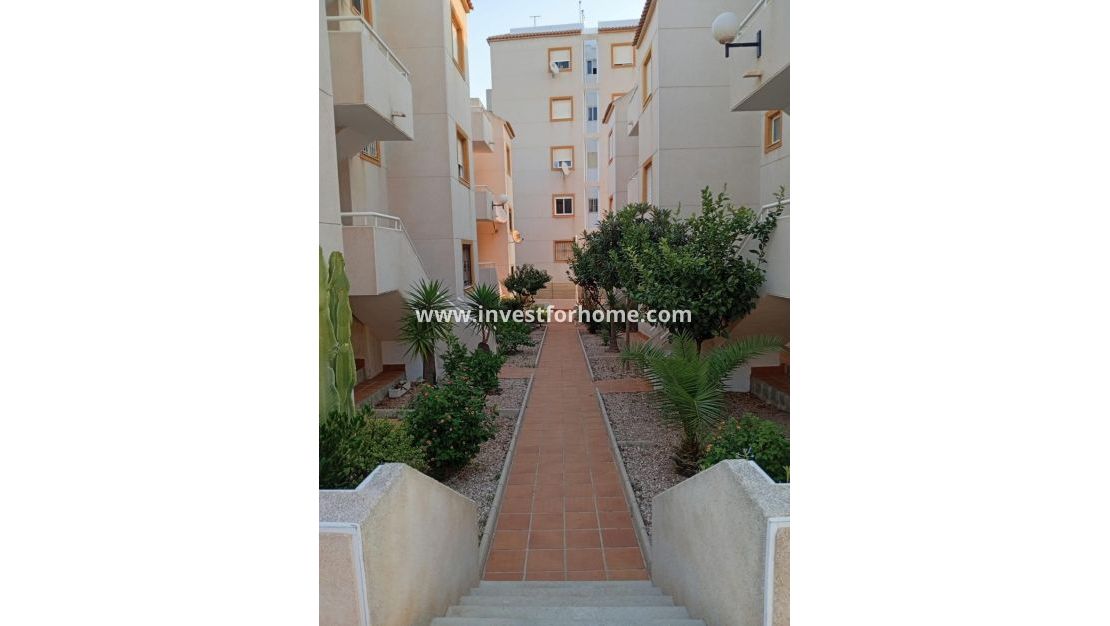Vente - Appartement - Torrevieja - Torrelamata - La Mata