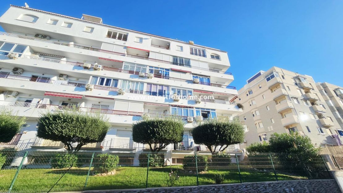 Vente - Appartement - Torrevieja - Torrelamata - La Mata