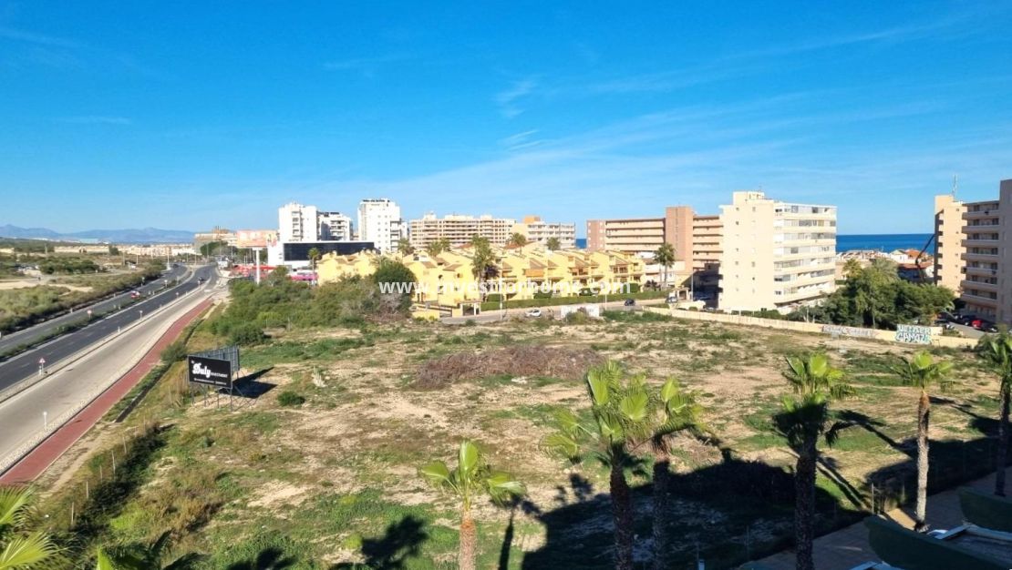 Vente - Appartement - Torrevieja - Torrelamata - La Mata