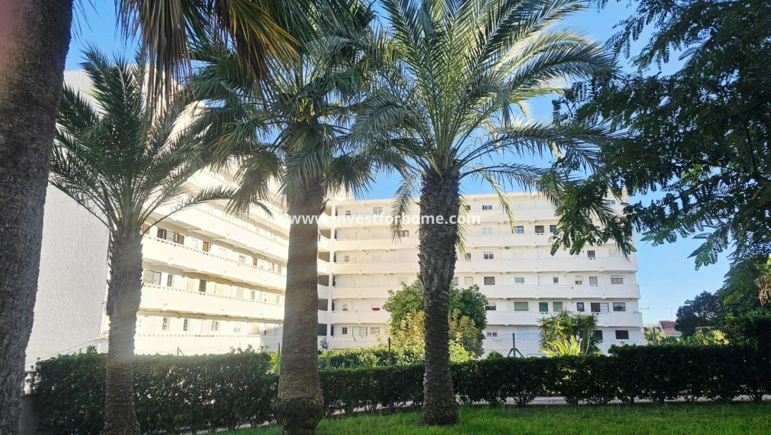 Vente - Appartement - Torrevieja - Torrelamata - La Mata