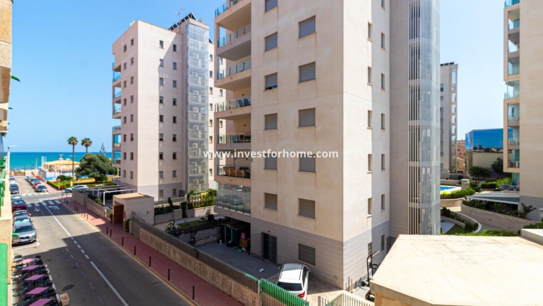 Vente - Appartement - Torrevieja - Torrelamata - La Mata