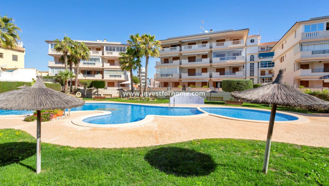 Vente - Appartement - Torrevieja - Torrelamata - La Mata