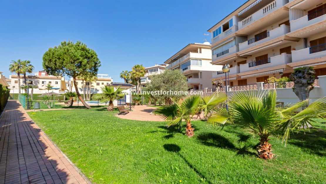 Vente - Appartement - Torrevieja - Torrelamata - La Mata