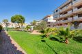 Vente - Appartement - Torrevieja - Torrelamata - La Mata