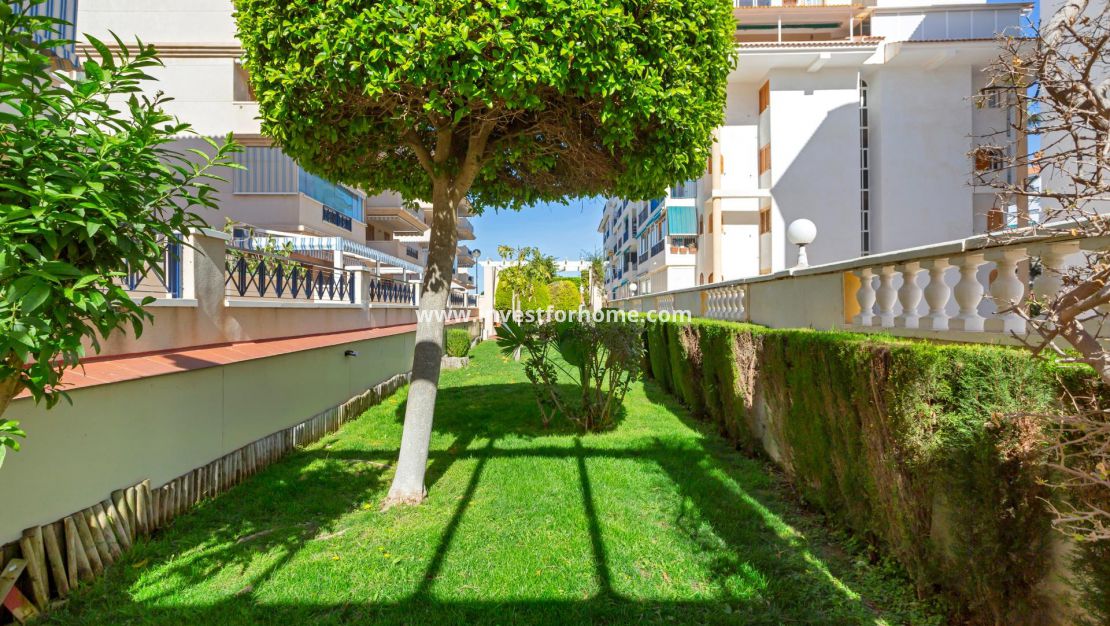 Vente - Appartement - Torrevieja - Torrelamata - La Mata