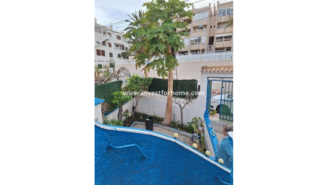 Vente - Bungalow - Torrevieja - Cabo Cervera