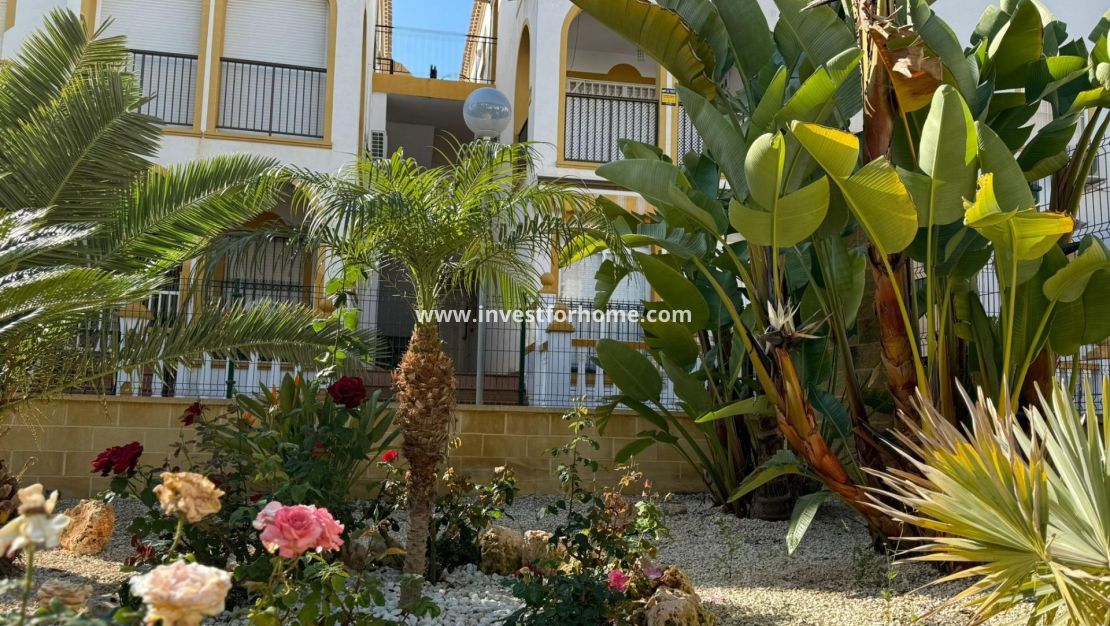 Vente - Bungalow - Torrevieja - Cañada Del Molino