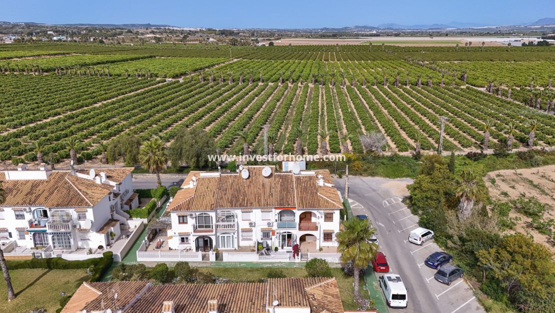 Vente - Bungalow - Torrevieja - Costa Blanca