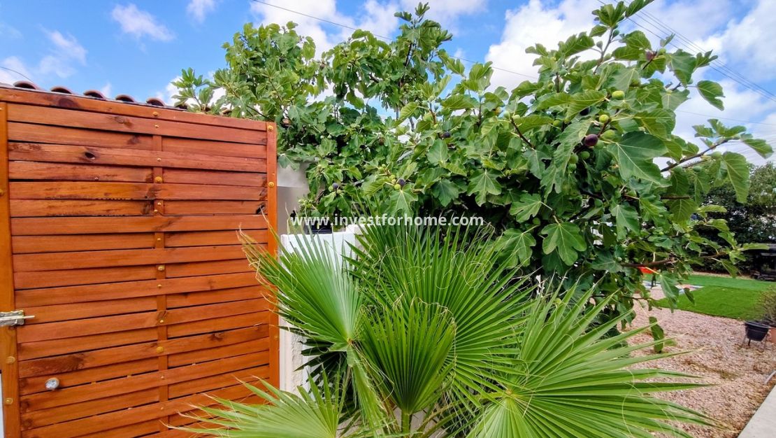 Vente - Bungalow - Torrevieja - Costa Blanca