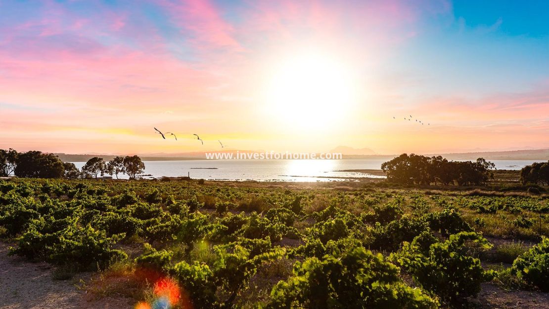 Vente - Bungalow - Torrevieja - La Siesta - El Salado - Torreta