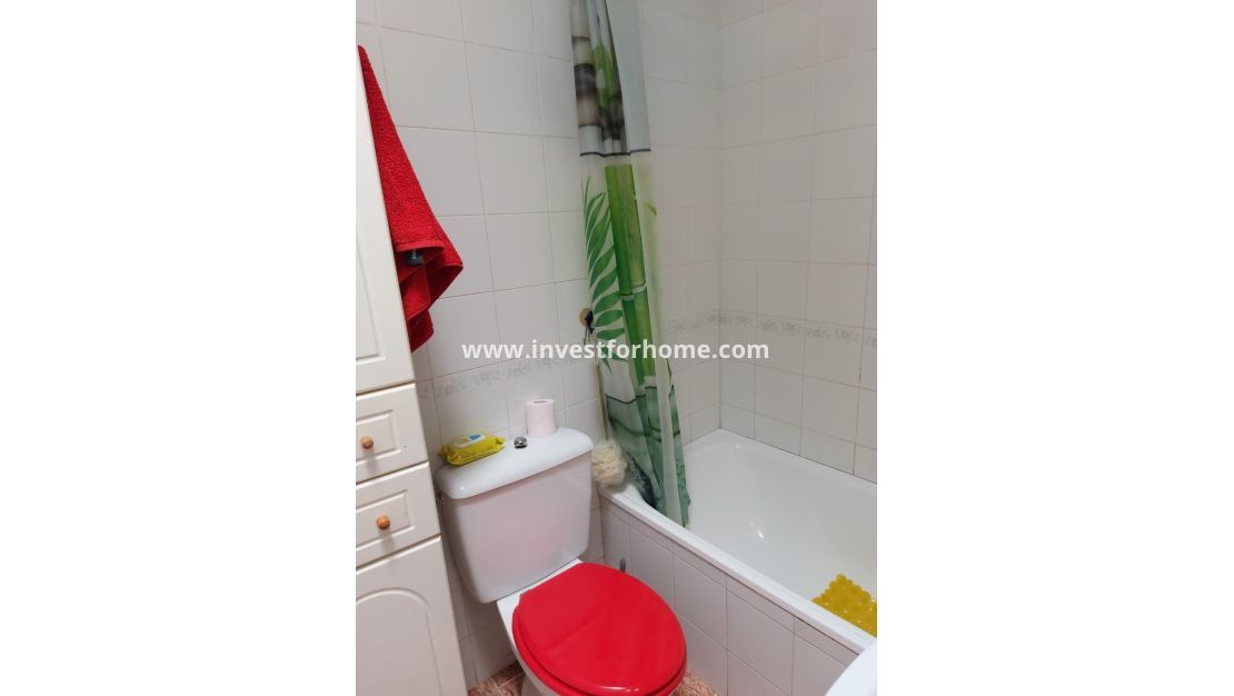 Vente - Bungalow - Torrevieja - Los Balcones - Los Altos Del Edén