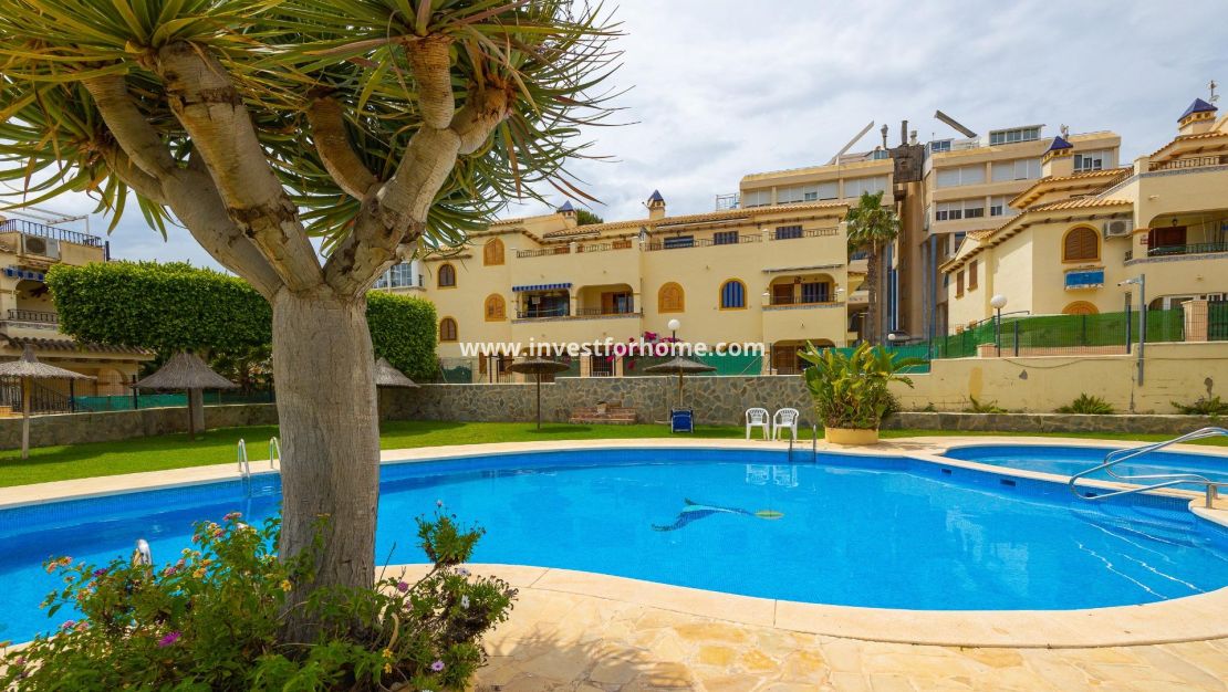 Vente - Bungalow - Torrevieja - Torrelamata - La Mata