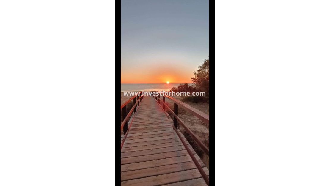 Vente - Bungalow - Torrevieja - Torrelamata - La Mata